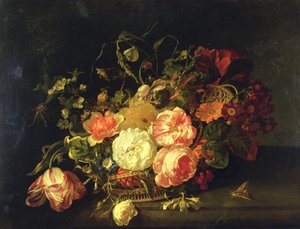 Blumen und Insekten, 1711